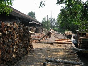 Unloading log at Kuala Sepetang Charcoal Factory Taiping