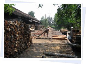 Charcoal Factory