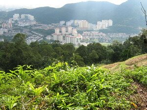 View of Central Penang from one thousand two hundred steps temple