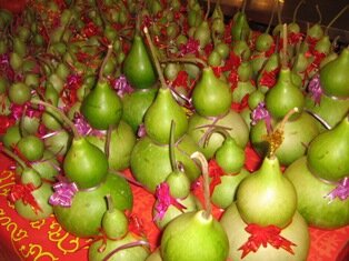 Hor Lor Pu or Bottle Gourd