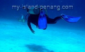 Diving in Pulau Payar, Malaysia