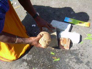 Breaking coconut in Thaipusam Penang