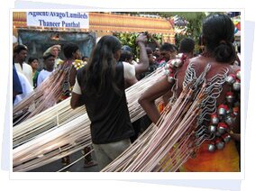 Thaipusam Festivals