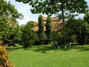 Garden in Penang Burmese Temple