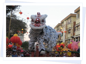 Lion Dance Performance