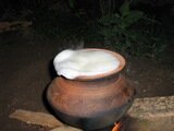 We watched as they milk overflows during Ponggal