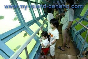 Underwater observation Chamber in Pulau Payar