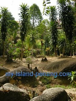 Seven Sisters Shrine Air itam Penang