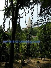 Kek Lok Si from Kramat Tujuh Beradik Penang