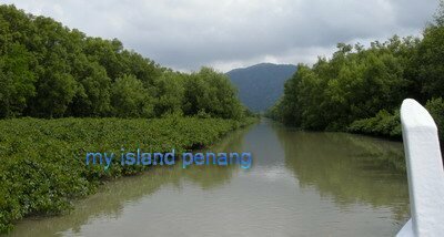 Sungai Pinang Mangrove