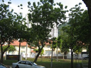 Penang Properties